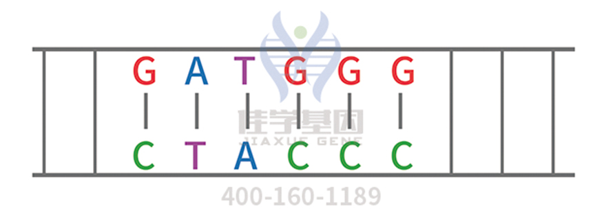 高密度芯片分子病理检测FAT2有突变，结果准确吗？